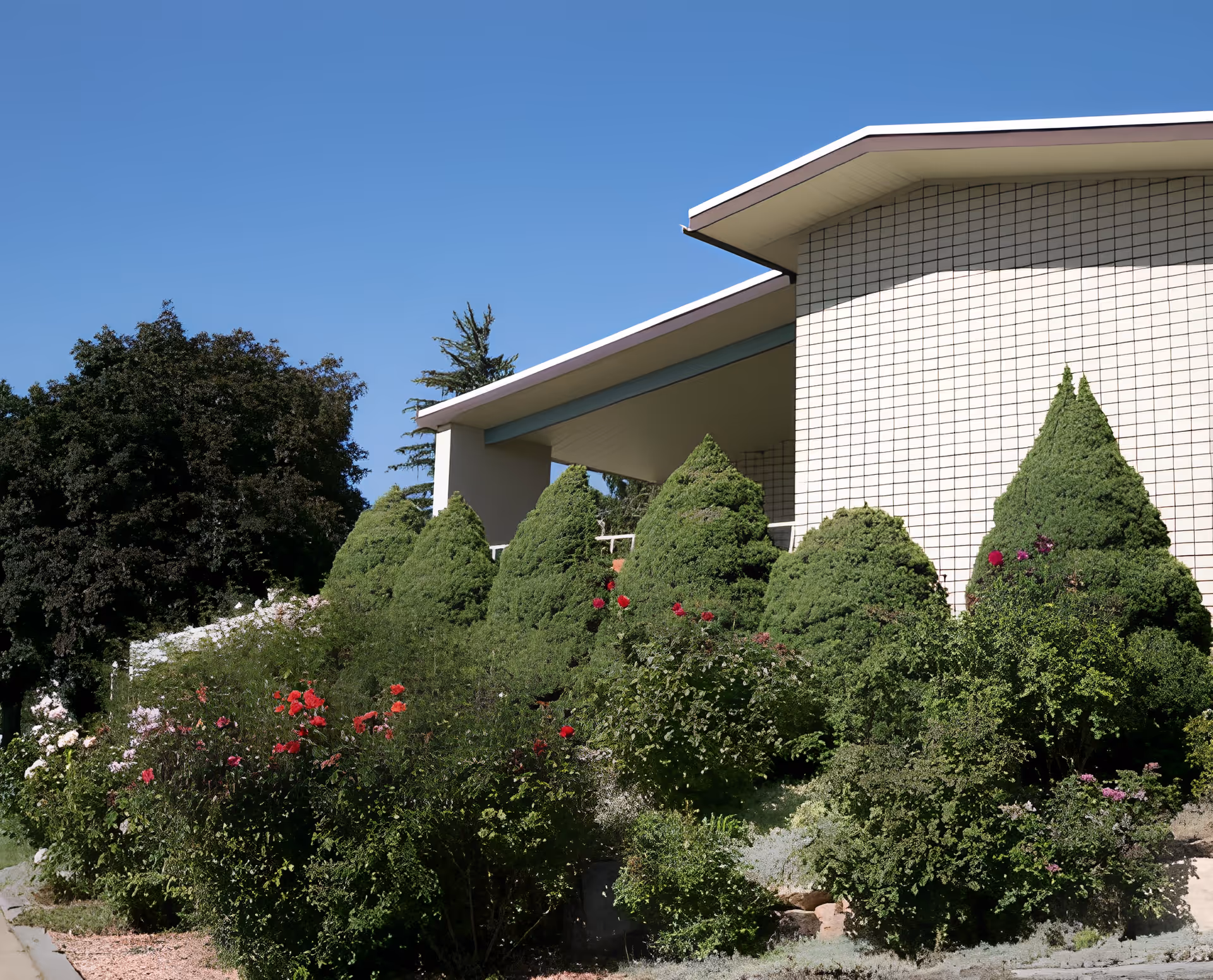 Front exterior of a modern building with a tiled facade, conical shrubs and flowering bushes under a clear blue sky.