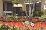 Outdoor garden area with red mulch, green plants, a large rock, and a birdcage. The background shows part of a building with windows and a bench.