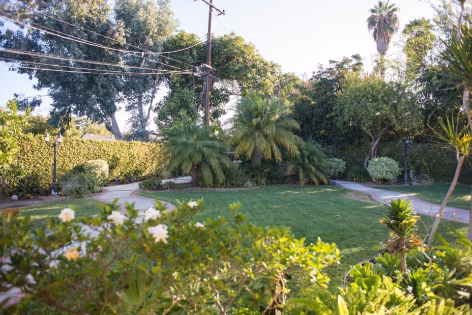 A lush outdoor garden area with green grass, various palm trees, bushes, and flowering plants. A paved walkway curves through the garden, and tall trees and a hedge line the background under a clear sky.