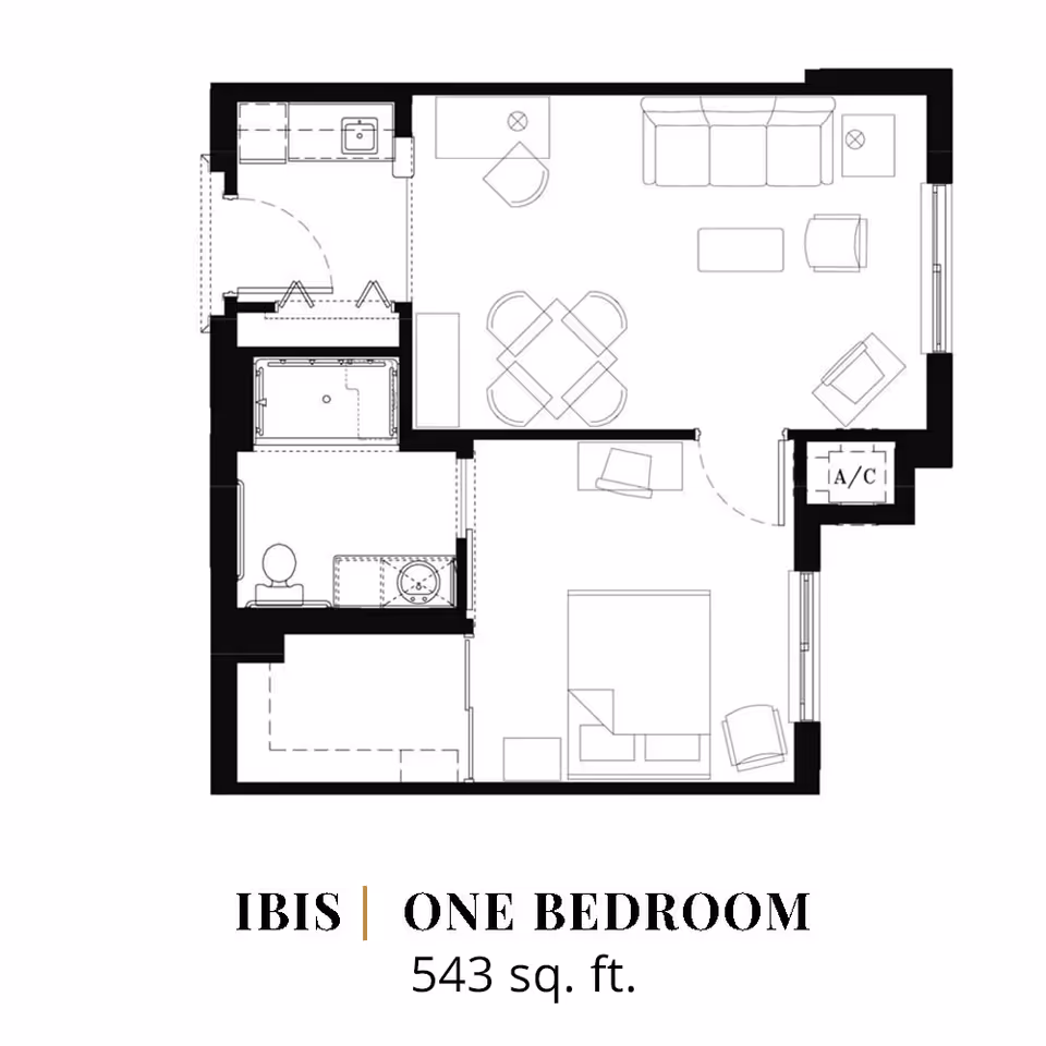 Floor plan of a one-bedroom 543 sq. ft. apartment labeled 'IBIS' showing a bedroom, bathroom, kitchen, and living/dining area with furniture.