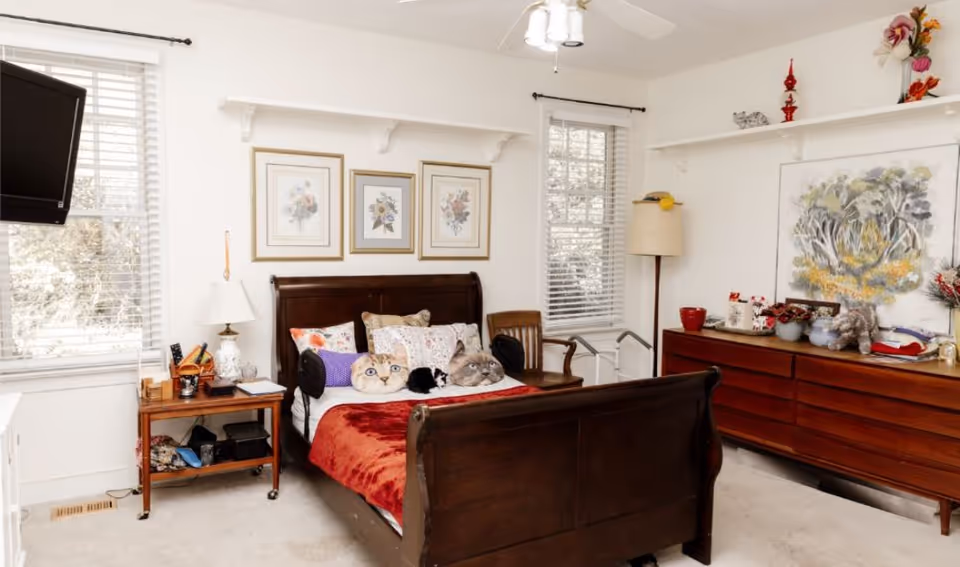 A cozy bedroom with a dark wooden bed frame and a red blanket. The bed has several pillows, including two with cat faces. There are two windows with white blinds, a wooden side table with a lamp and various items, a wooden chair, and a wooden dresser with decorative items and a large painting above it. The walls are white, and there is a ceiling fan with lights.