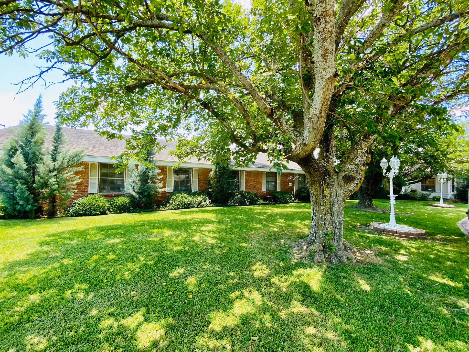 Front lawn of a single-story brick building with a large shade tree, manicured grass, shrubs, and decorative lampposts.