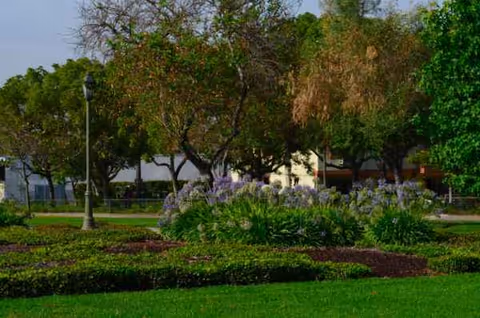 A well-maintained outdoor garden area with trees, flower beds, and a tidy lawn.
