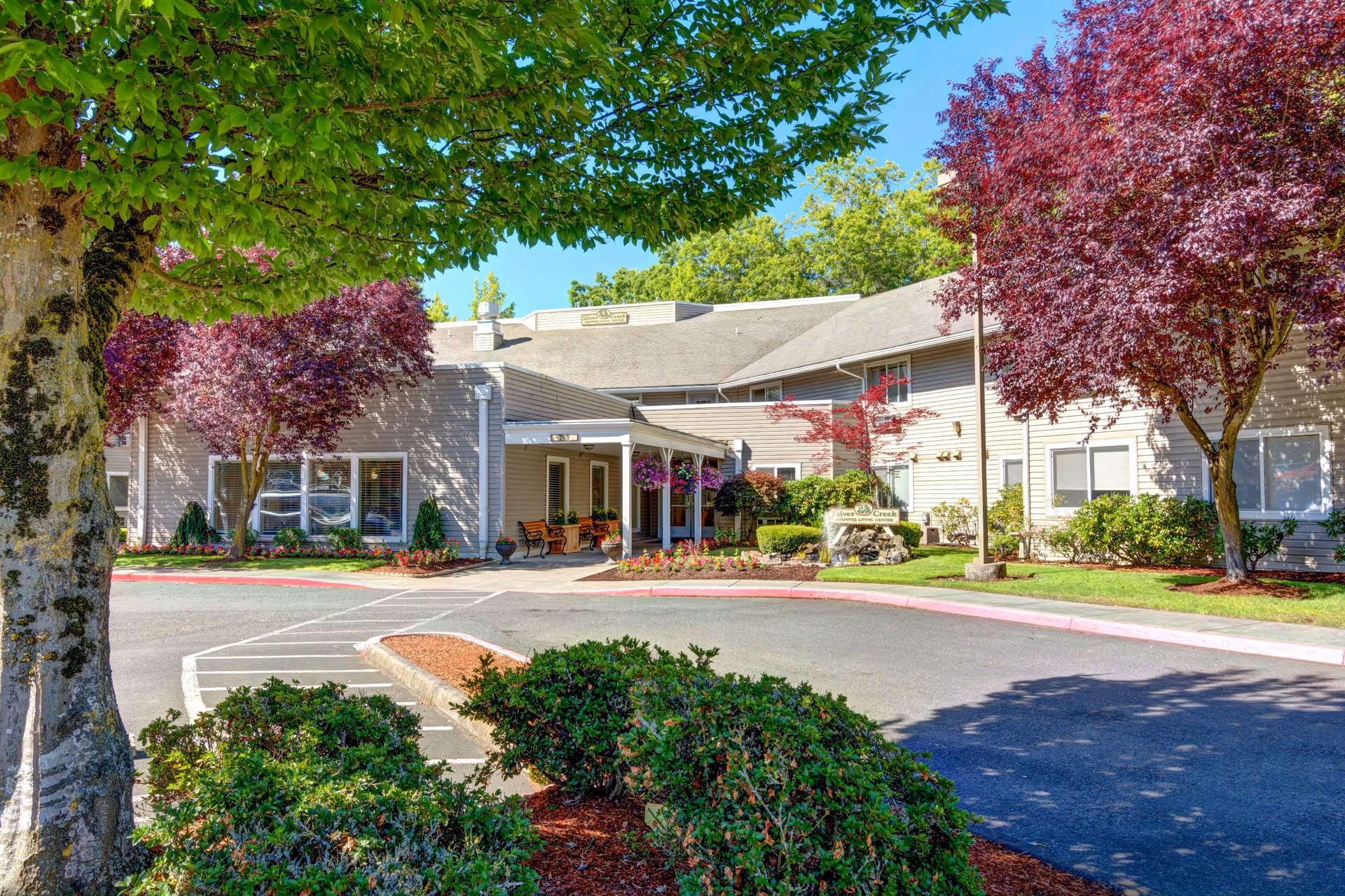 Exterior view of Silver Creek Senior Living facility showing a beige building with a covered entrance, surrounded by well-maintained landscaping including green bushes, trees with green and purple leaves, and a clear blue sky.