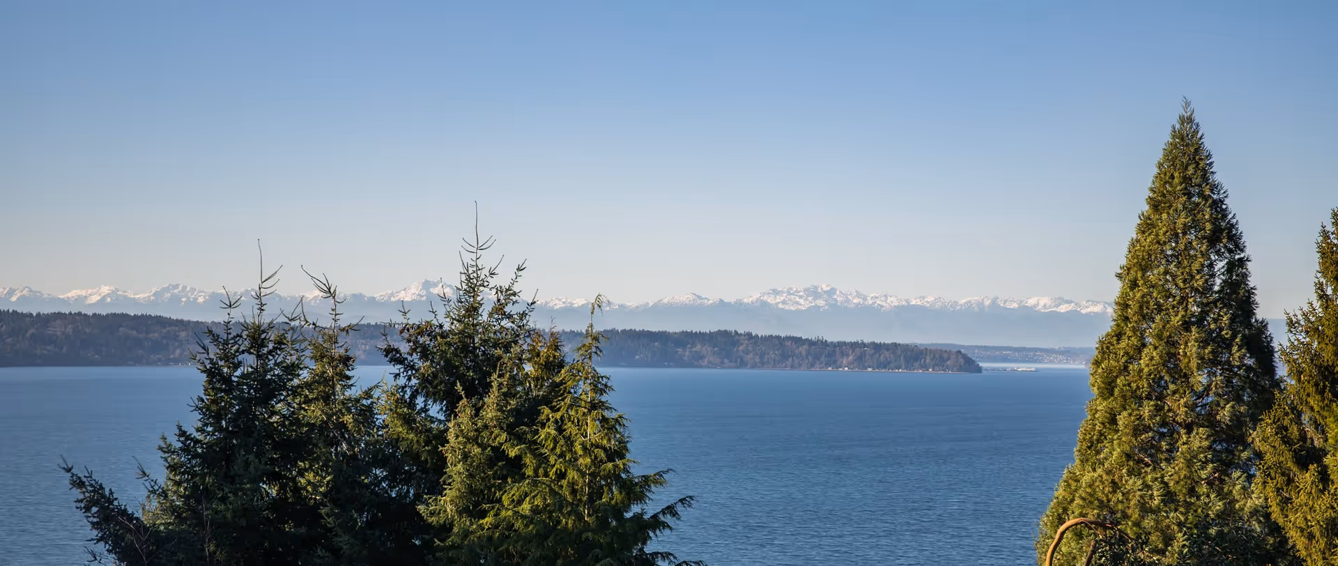 View of a large body of water with evergreen trees in the foreground and snow-capped mountains in the distance under a clear blue sky.