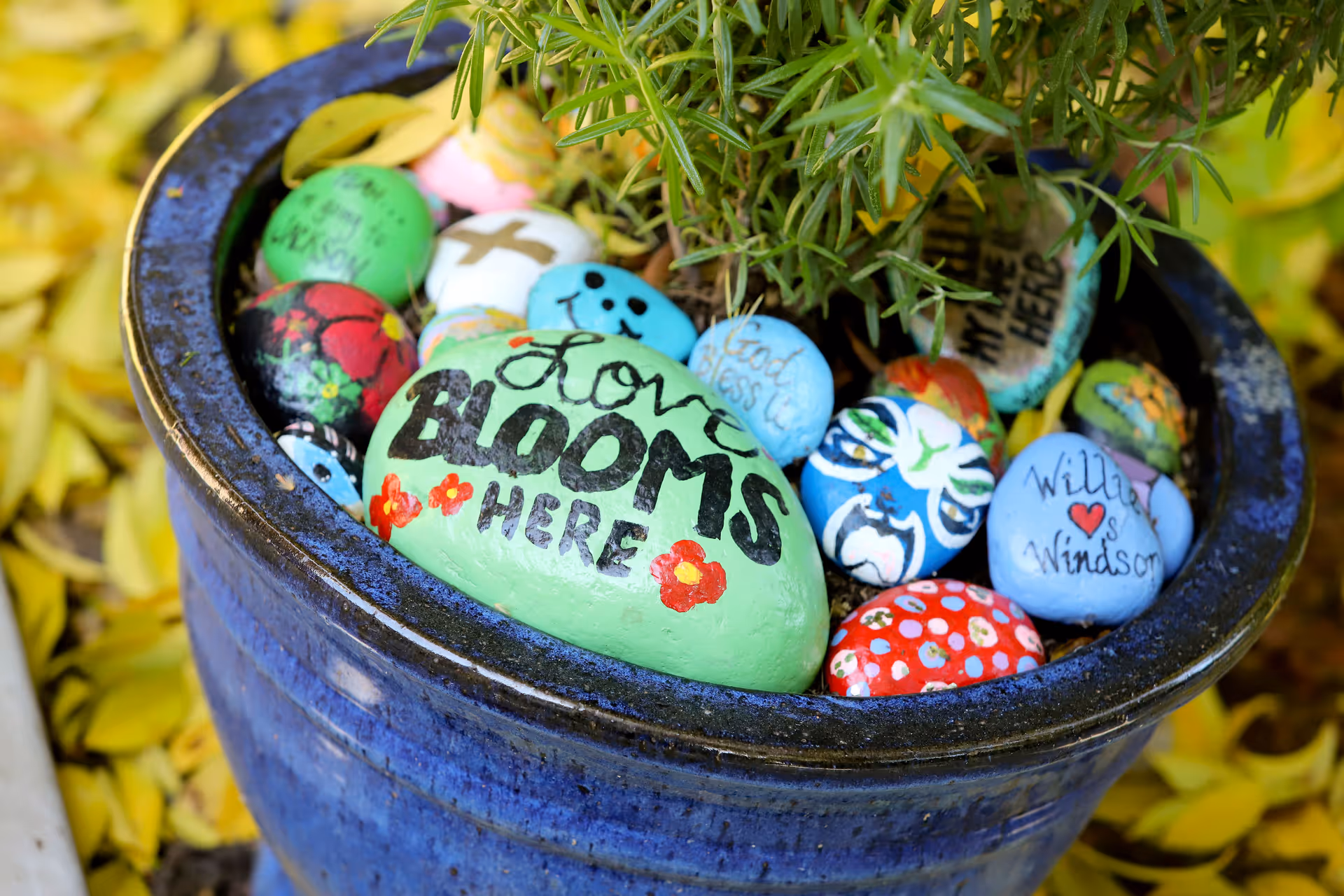 A blue ceramic pot containing a green plant surrounded by colorful painted rocks with various designs and messages, including a prominent green rock with the words 'Love BLOOMS HERE' painted on it.