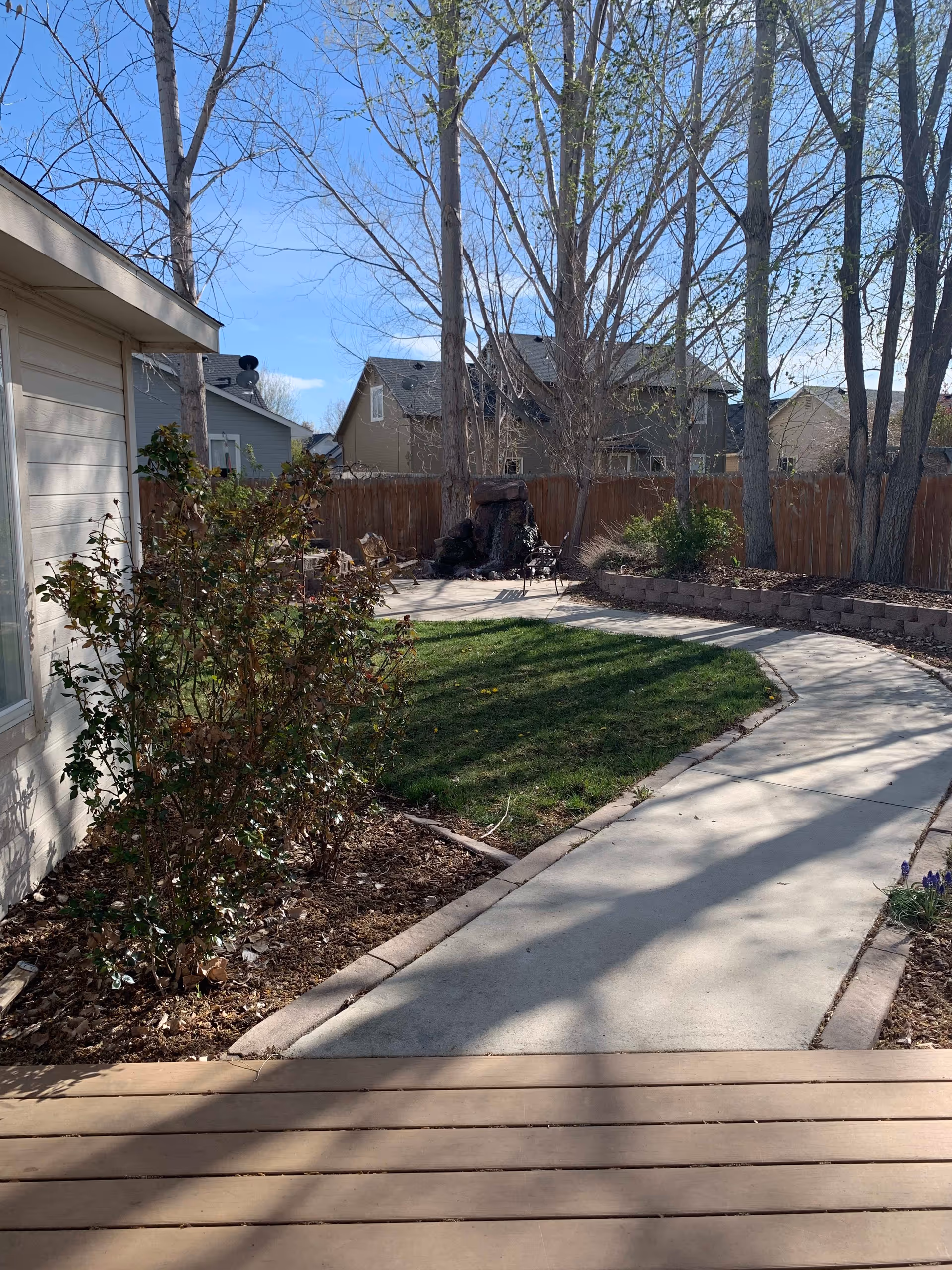 Outdoor garden area with a curved concrete pathway, green grass, leafless trees, and some bushes. There are houses and a wooden fence in the background under a clear blue sky.
