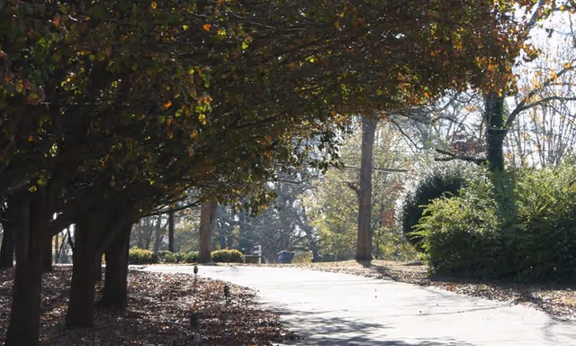 A paved pathway winding through a wooded area with trees on both sides, some with autumn-colored leaves, and bushes along the path under a bright sky.
