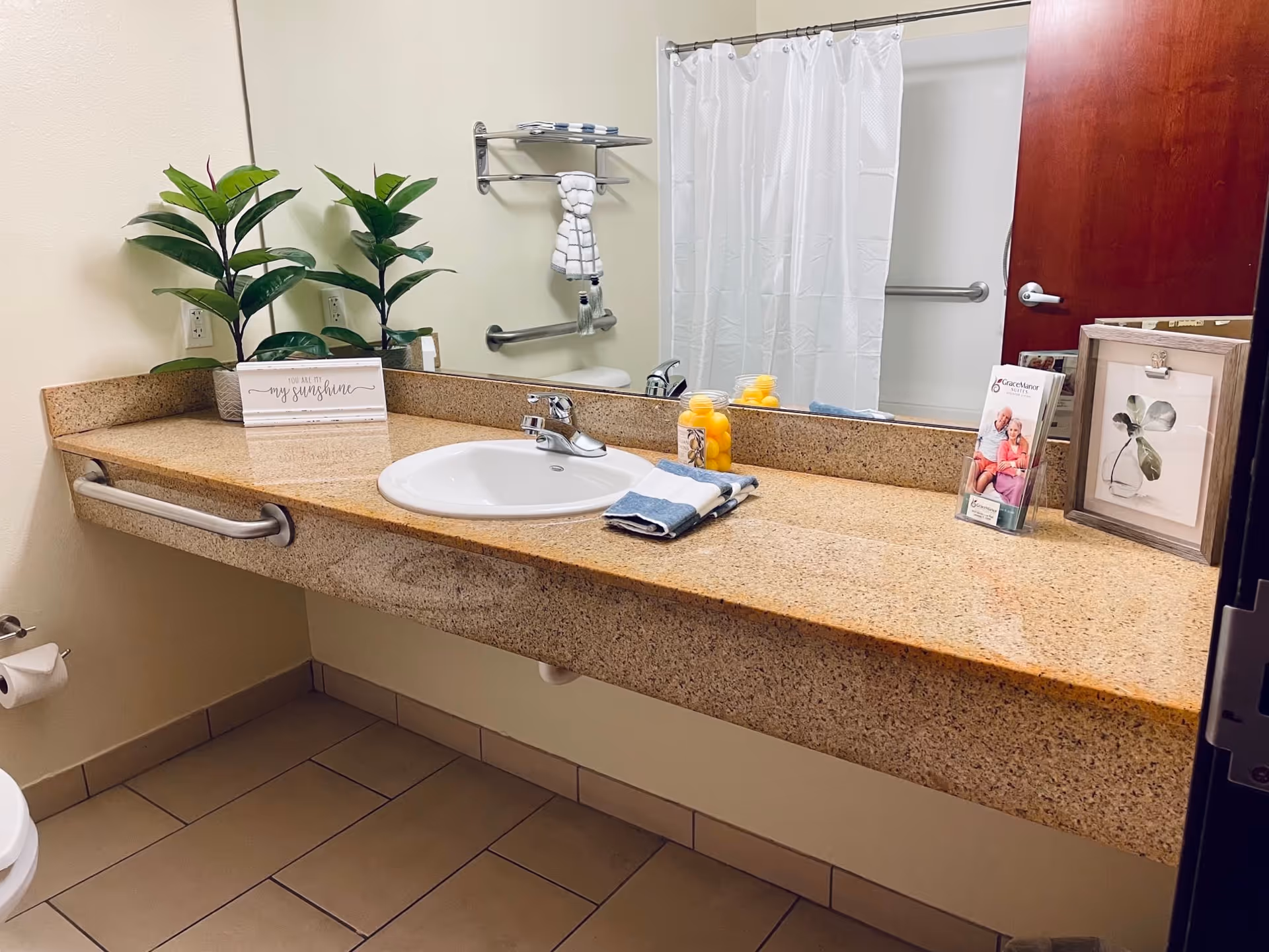 A clean bathroom countertop with a sink, a large mirror, and a granite surface. On the counter are two small potted plants, a framed picture, a brochure, a jar with yellow balls, and folded towels. A white shower curtain and a wooden door are visible in the reflection of the mirror.