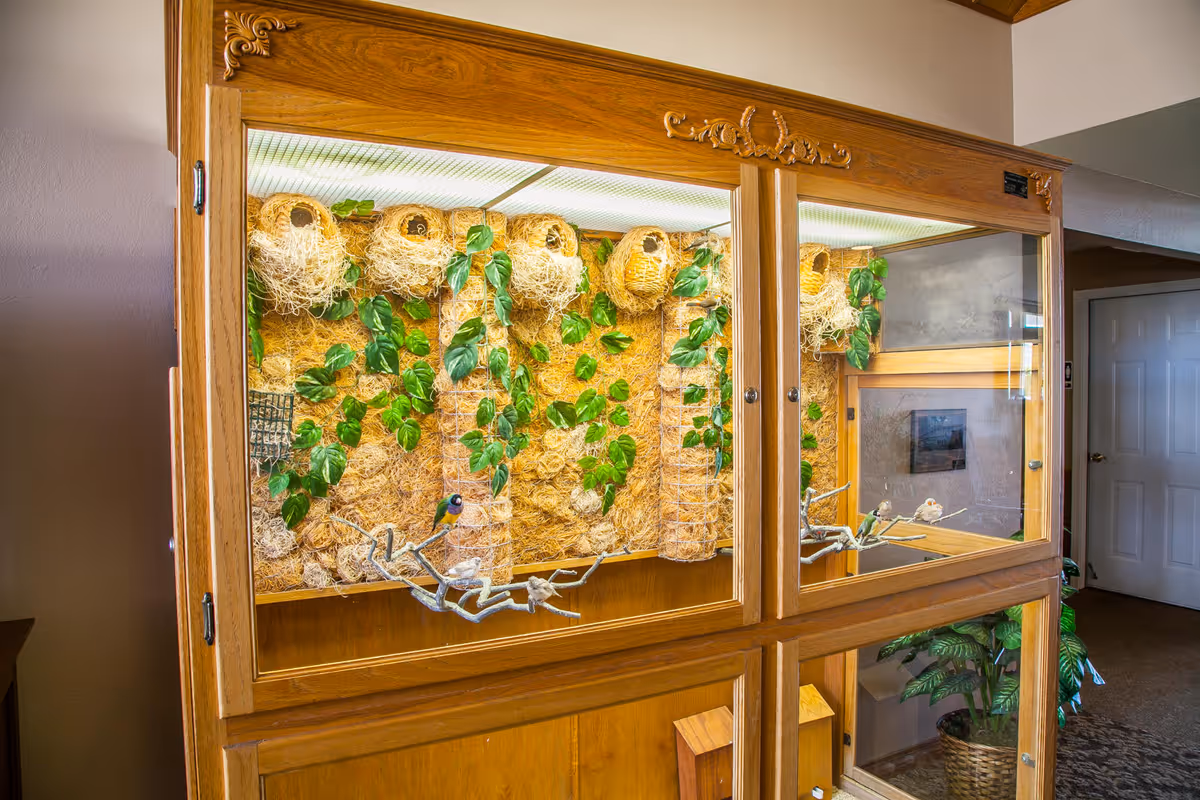 A large wooden enclosure with glass panels housing several bird nests and green leafy plants inside. There are small birds perched on branches within the enclosure. The background shows part of an interior room with a door and a potted plant.