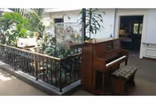 Upright piano and bench beside an indoor planted atrium with a railing in a facility corridor.