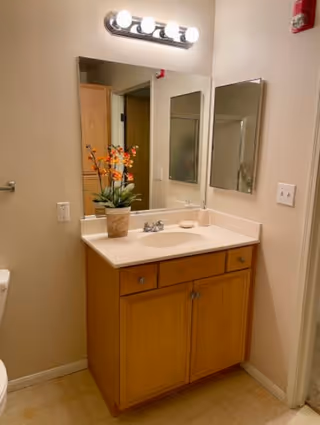 A bathroom vanity with a wooden cabinet, a white countertop with a built-in sink, a faucet, a potted plant with orange flowers, a soap dish, and two mirrors on the wall. Above the mirrors is a light fixture with four round bulbs. Part of a toilet and a towel holder are visible on the left side.