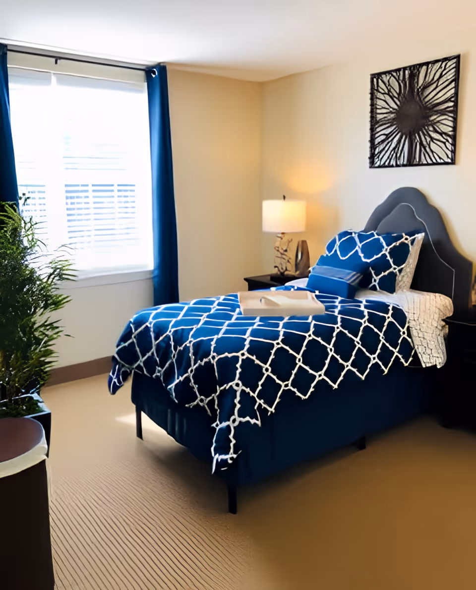 A neatly made single bed with a blue and white patterned bedspread and multiple pillows in a bright bedroom. There is a window with blue curtains letting in natural light, a bedside table with a lamp, a decorative wall art above the bed, and a green plant near the window.