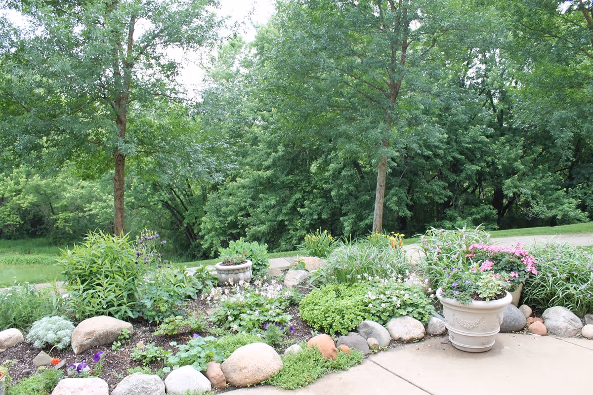 A landscaped outdoor garden bed with potted flowers, rocks, and lush trees in the background.