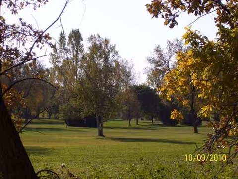 Sunlit park-like lawn with scattered trees and fall foliage, no people visible