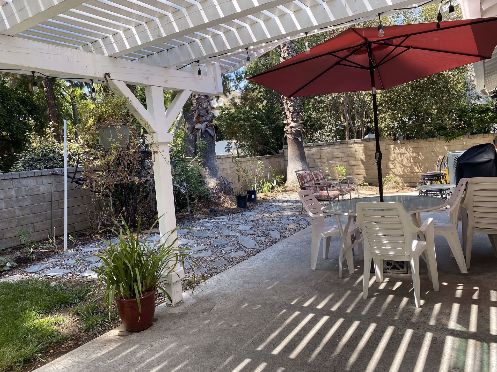 A shaded backyard patio with a white pergola, glass table and white chairs under a red umbrella, a potted plant, stone pathway and palm trees by a block wall.