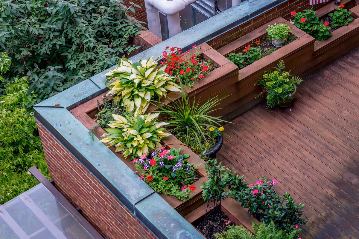 Wooden rooftop terrace with built-in planter boxes filled with flowering plants and greenery.