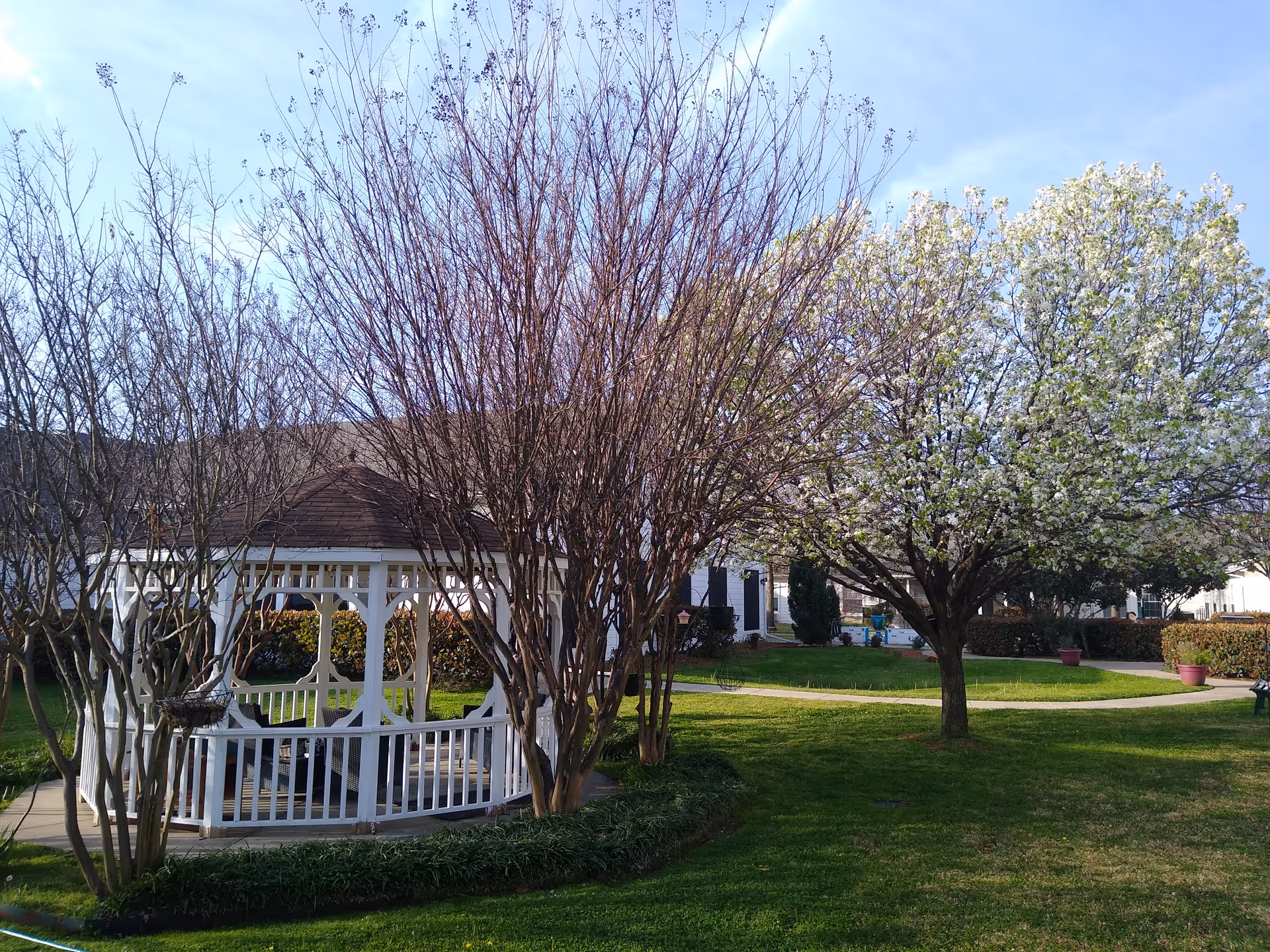 A peaceful outdoor garden area at Silver Creek Assisted Living featuring a white gazebo surrounded by leafless and blossoming trees, green grass, and a paved walkway with potted plants and benches.