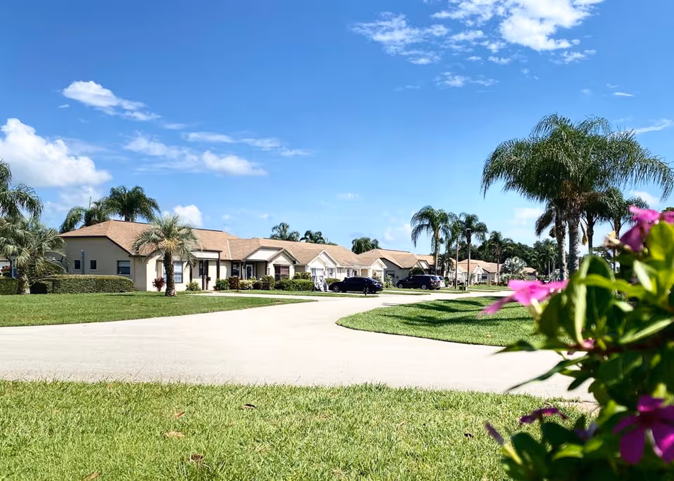 A sunny residential street in a senior living community with single-story homes, palm trees, green lawns, and a clear blue sky with some clouds. Pink flowers are visible in the foreground on the right side.