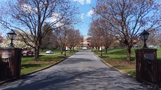A paved driveway lined with leafless trees on both sides leading to a multi-story building in the distance. There are grassy areas and parked cars on either side of the driveway, with black lamp posts near the entrance gate.