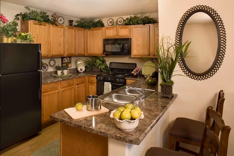 A kitchen with wooden cabinets, a black refrigerator, black microwave, and black stove. The countertop has a double sink, a bowl of green apples, a cutting board with an apple and a metal cup. There are decorative plants and plates on top of the cabinets and a round decorative mirror on the wall next to two wooden chairs with cushions.