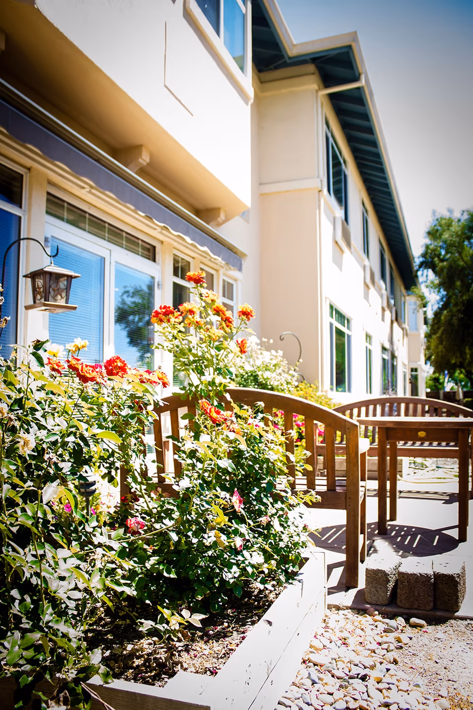 Outdoor patio area at Stratford Beyer Park with wooden benches and a table surrounded by flower beds with blooming red and white flowers, next to a building with large windows and a blue awning.
