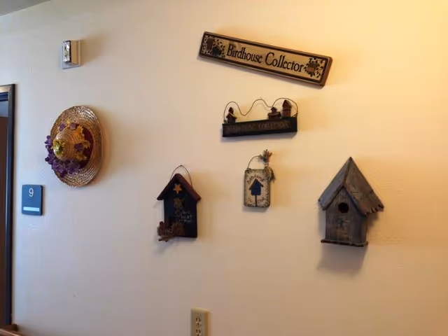 A beige wall decorated with various birdhouse-themed items including a wooden sign that reads 'Birdhouse Collector', three small decorative birdhouses, and a straw hat with purple flowers. A door with the number 9 is visible on the left side of the image.
