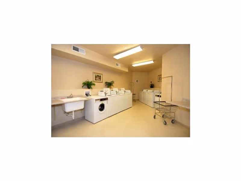 Laundry room with multiple washing machines and dryers along the walls, a utility sink, a laundry cart, potted plants on the counter, and fluorescent ceiling lights.