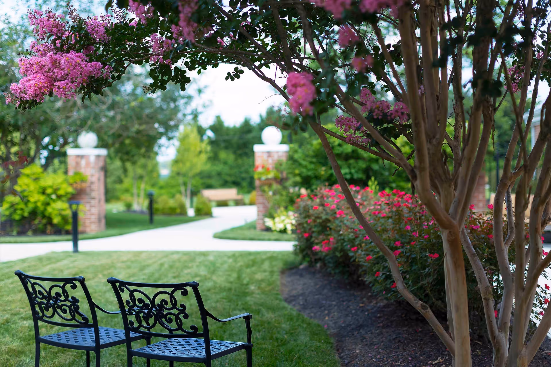 A peaceful outdoor garden area with two black wrought iron benches on a grassy lawn. Pink flowering trees and bushes with red flowers line a curved concrete pathway. Brick pillars with white spherical lights are visible in the background along the path, surrounded by green trees and shrubs.