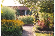 A landscaped garden path lined with yellow and red flowering plants leading toward a building entrance.