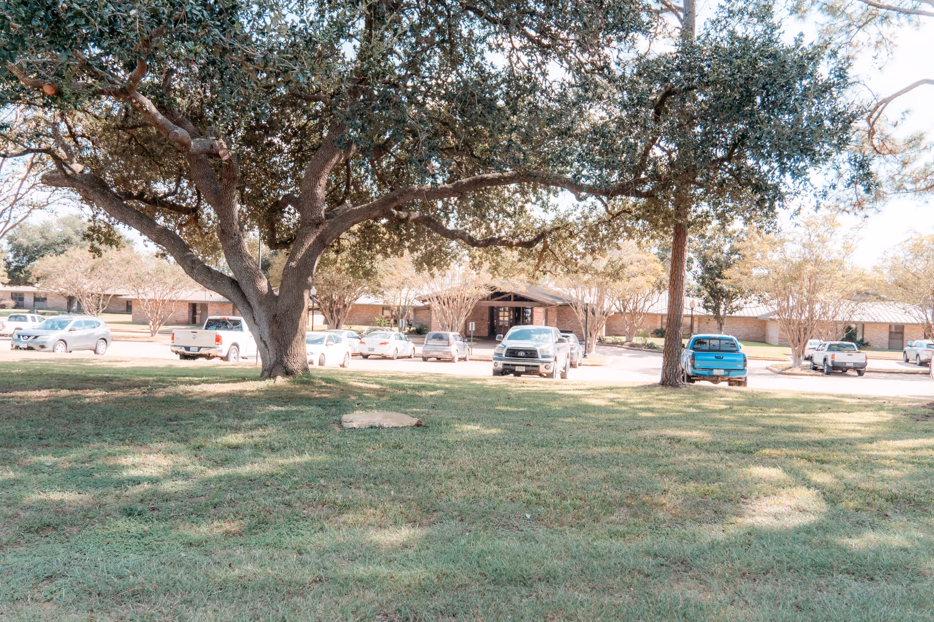 A grassy outdoor area with large trees providing shade in the foreground. In the background, there is a single-story brick building with a covered entrance and several parked cars in front of it.
