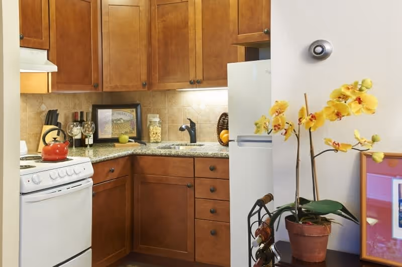 Small kitchen with wooden cabinets, granite countertops, a white stove and refrigerator, and a potted yellow orchid on a nearby table.