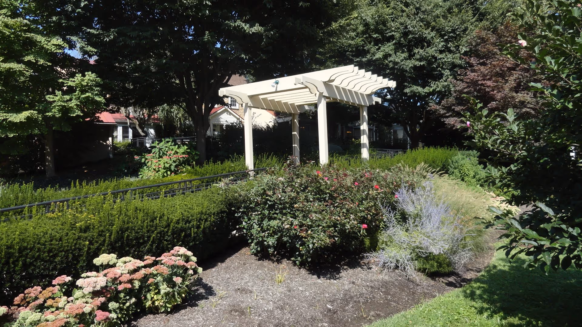 A garden area with various shrubs and flowering plants surrounding a white wooden pergola. Trees and bushes provide shade and greenery, with a building partially visible in the background.