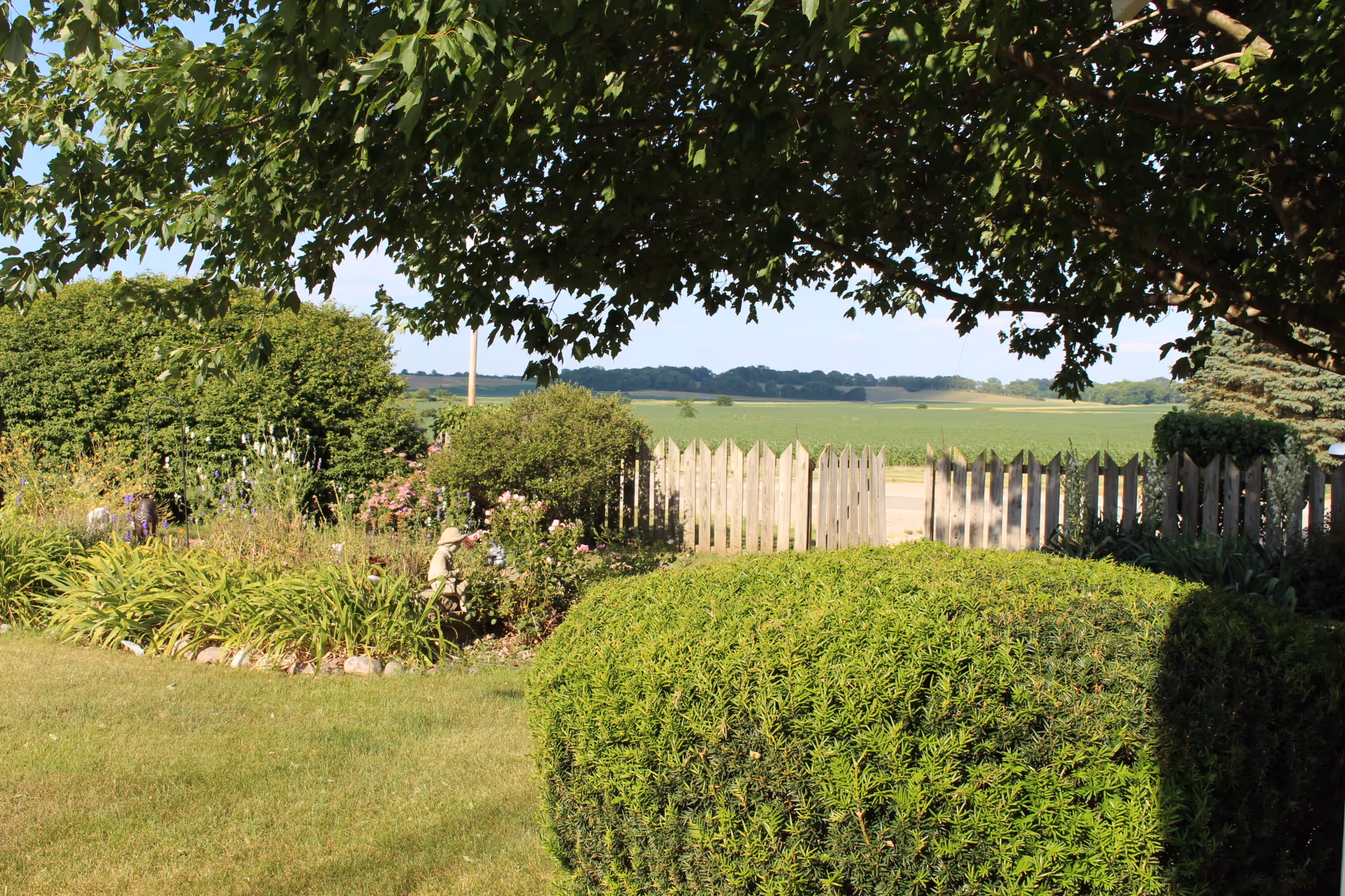 A sunny outdoor garden area with neatly trimmed bushes, flowering plants, and a wooden picket fence in the background. A large tree provides shade over part of the garden, and open fields are visible beyond the fence under a clear sky.