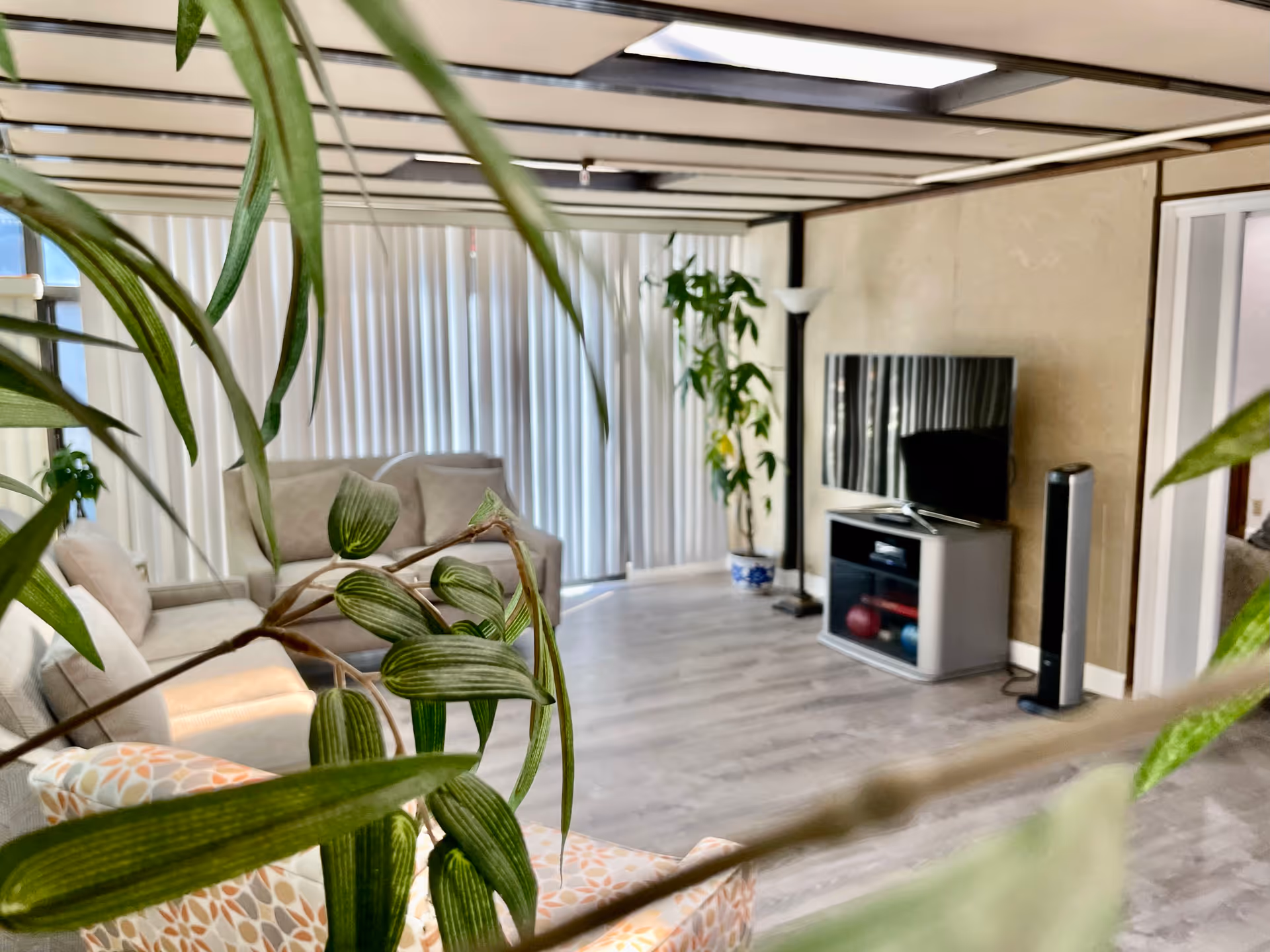 A bright living room with light-colored wooden flooring, beige sofas, a flat-screen TV on a stand, a tall floor lamp, and several green plants. Vertical blinds cover the large windows in the background.
