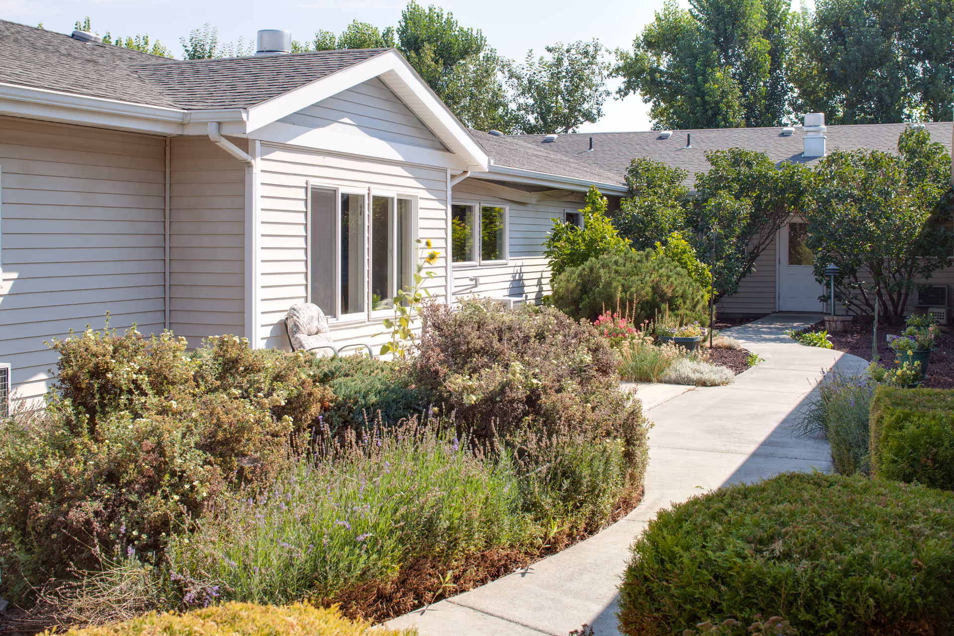 A sunny outdoor garden area at Monroe House, A Senior Living Community, featuring a concrete walkway surrounded by various bushes, shrubs, and small trees. The beige siding of the building is visible with windows and a chair placed near the wall. Tall trees are seen in the background under a clear sky.