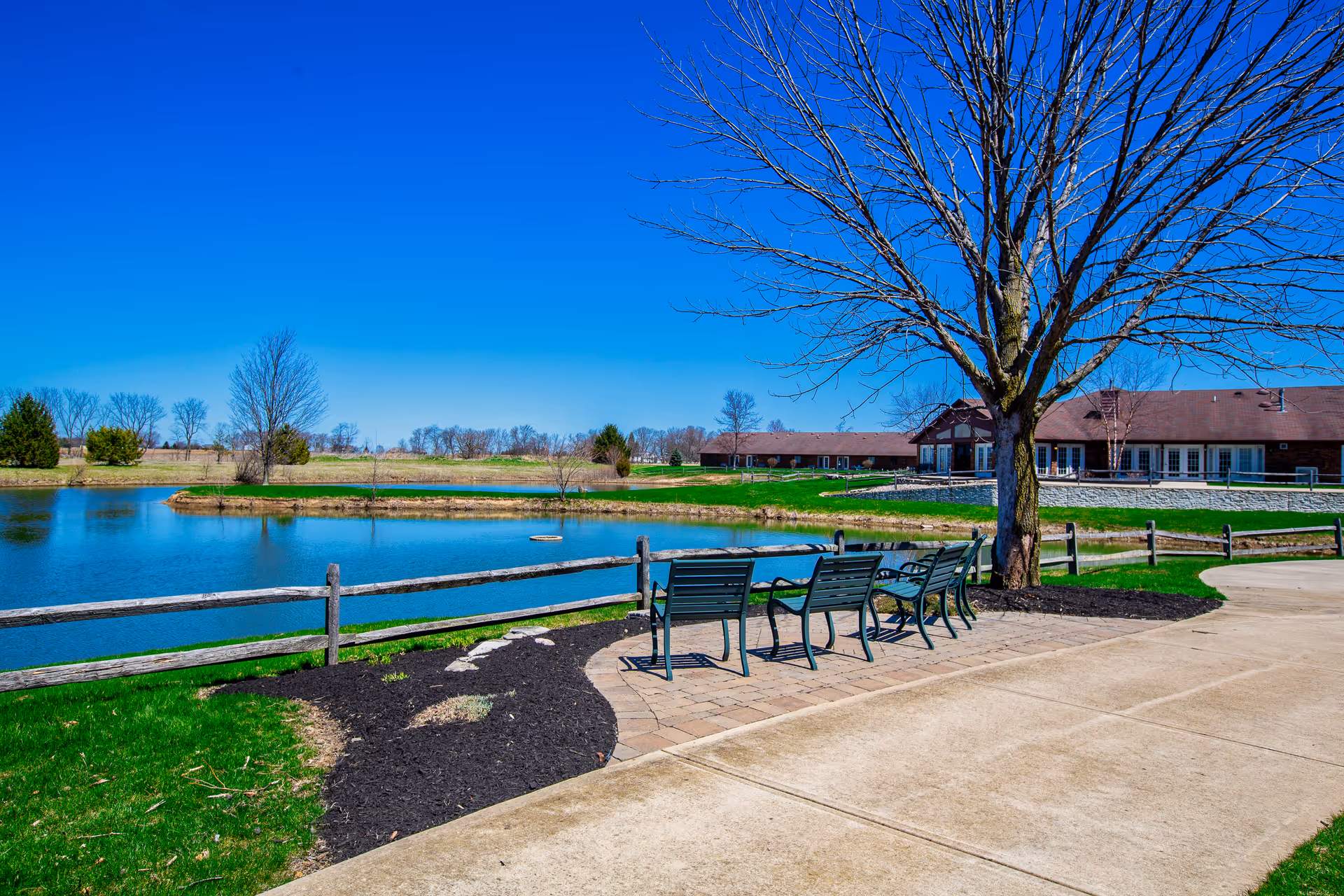 Benches and a tree beside a small pond with a walking path and a low building in the background under a clear blue sky.