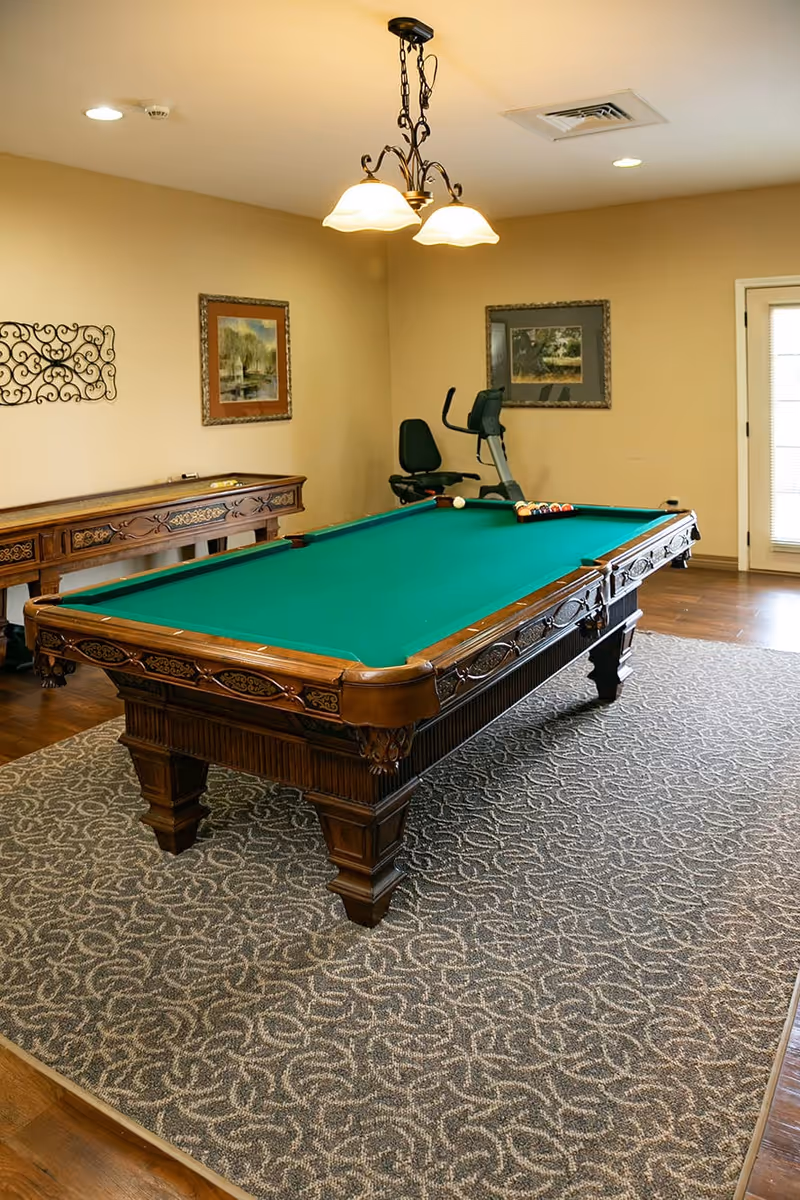 A room with a green felt pool table on a patterned carpet, a wooden side table against the wall, two framed landscape paintings, a stationary exercise bike, and a ceiling light fixture with three lamps.