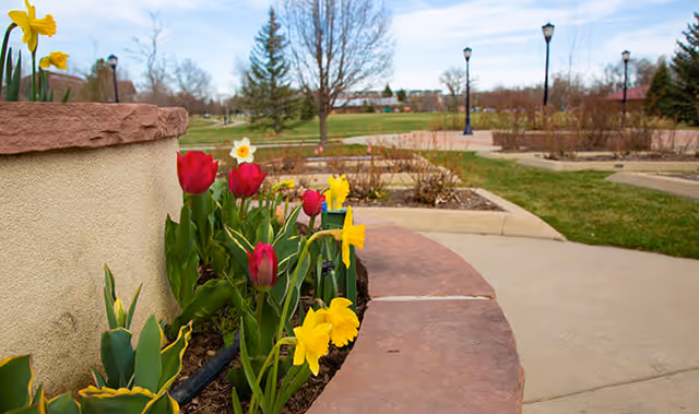 A landscaped outdoor area featuring a curved stone planter with blooming red tulips and yellow daffodils. In the background, there are leafless trees, green grass, paved walkways, and several black lamp posts under a partly cloudy sky.
