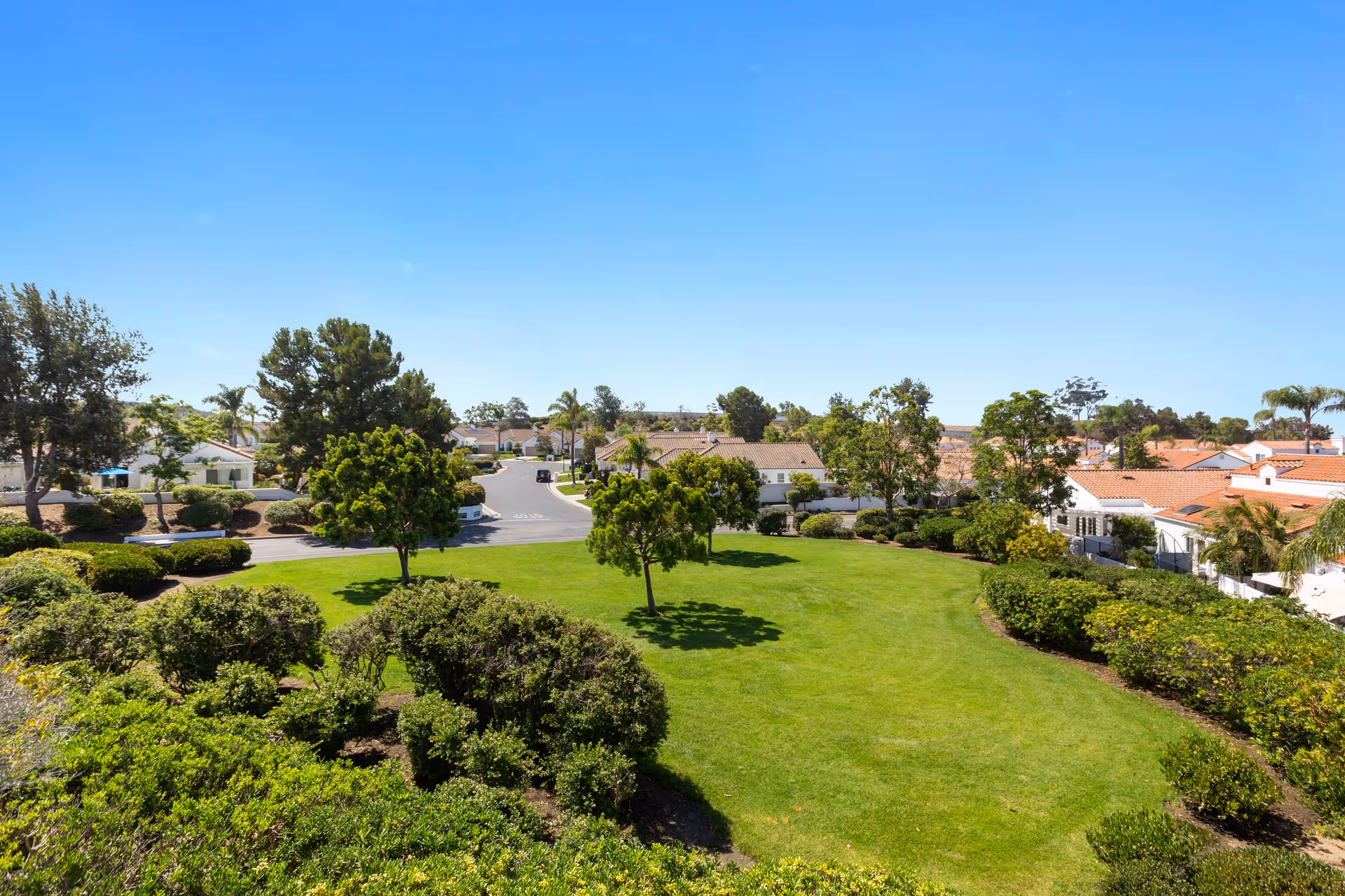 Well-maintained grassy common area with trees and surrounding homes under a clear blue sky.