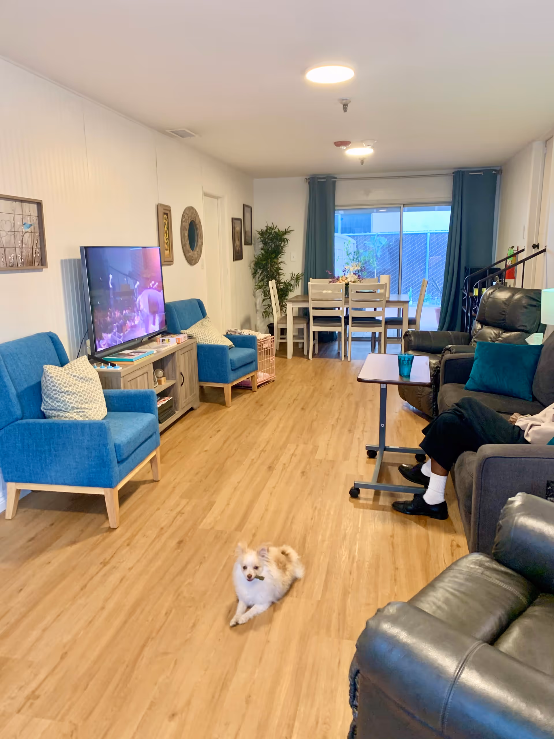 A cozy living room and dining area in Hawthorne Terrace Care Home featuring blue armchairs, a flat-screen TV on a wooden stand, a small white dog lying on the wooden floor, a dining table with chairs near a sliding glass door with blue curtains, and a person sitting on a dark recliner with a small table in front.