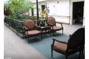 Indoor seating area with upholstered chairs and a small table next to an interior planter in a hallway.