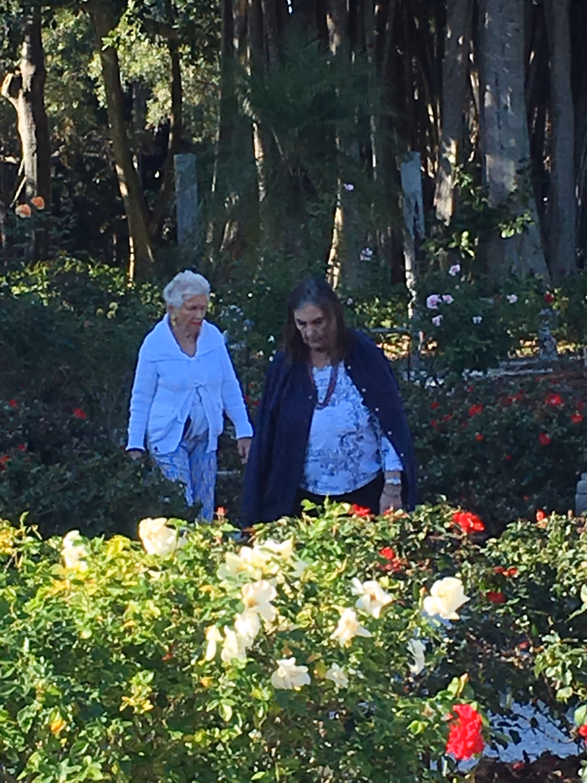 Two elderly women walking through a garden filled with blooming red and white flowers, surrounded by trees and greenery.