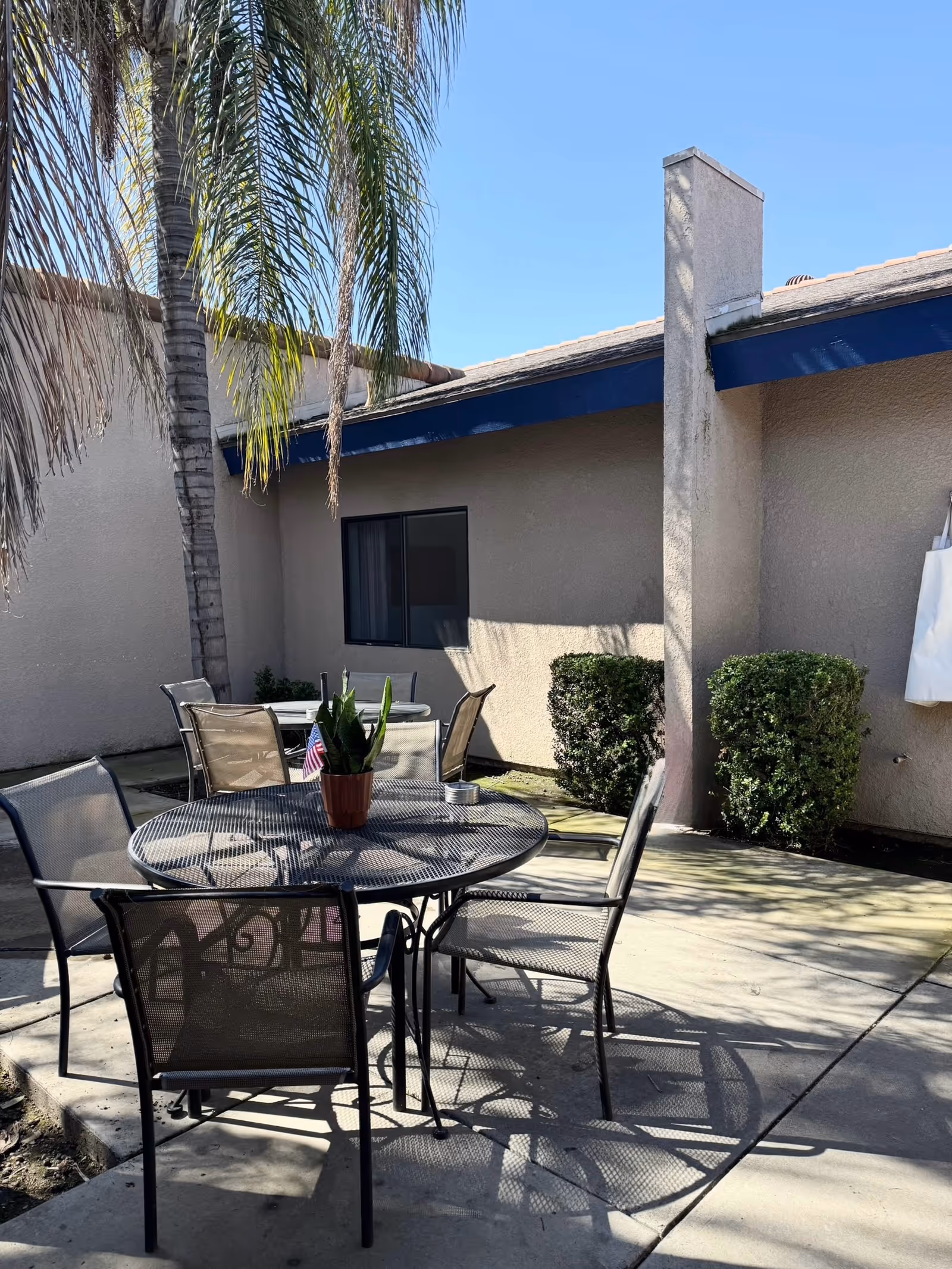 Sunlit outdoor courtyard with a round metal table and chairs, a potted plant, palm tree, and the adjacent building facade.
