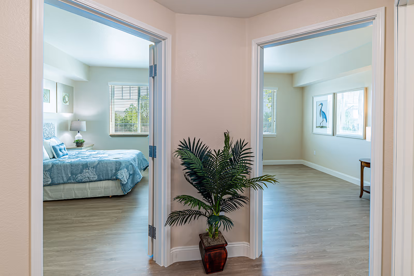 View of two adjacent rooms in a senior living facility. The left room is a bedroom with a bed covered in a blue patterned bedspread, a nightstand with a lamp and a small plant, and a window with blinds. The right room is empty except for a small table and two framed bird artworks on the wall. A potted plant is placed in the corner between the two doorways.