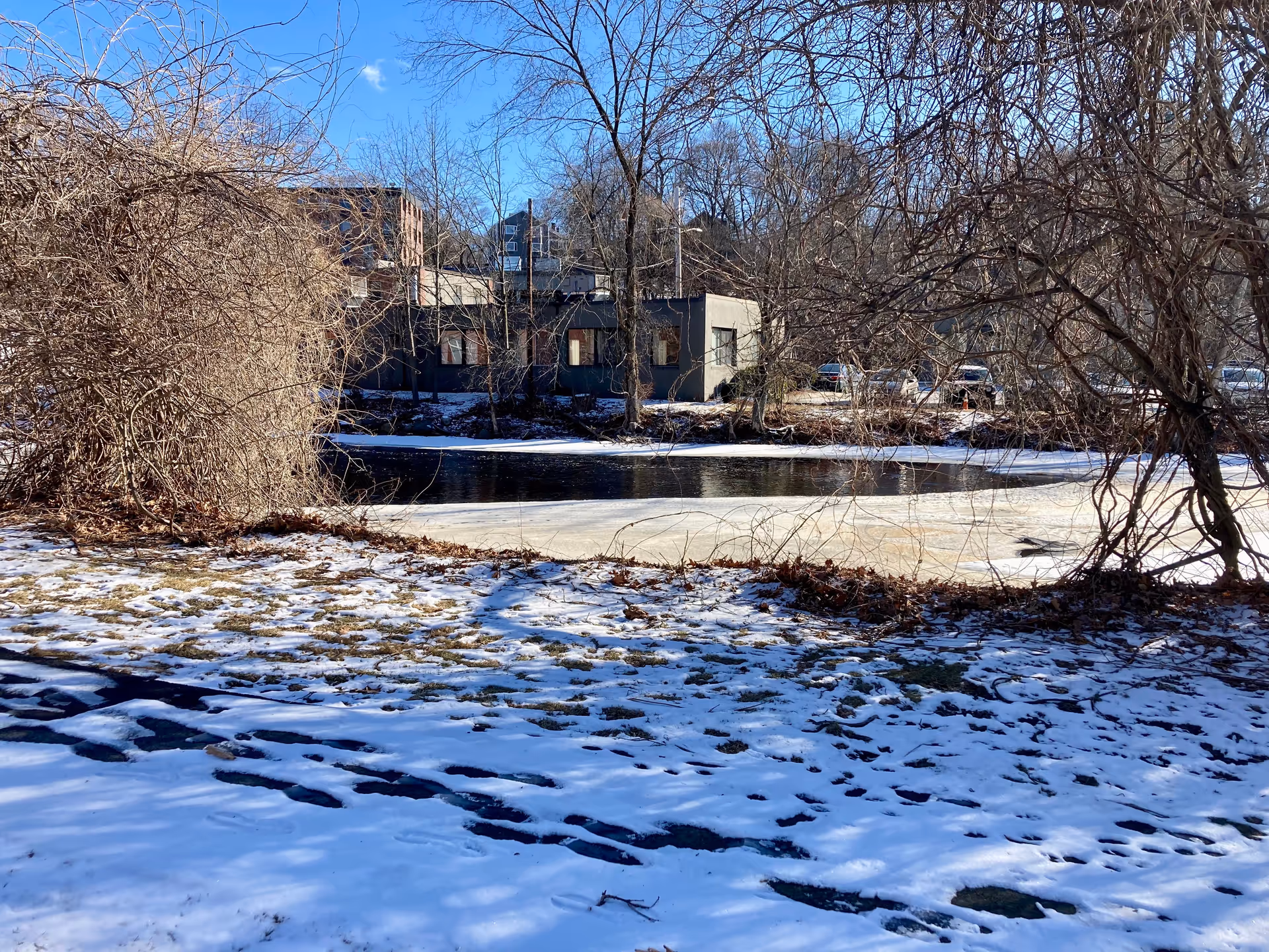 Snow-covered grassy foreground with a partially frozen pond framed by leafless trees and a building across the water under a clear blue sky.