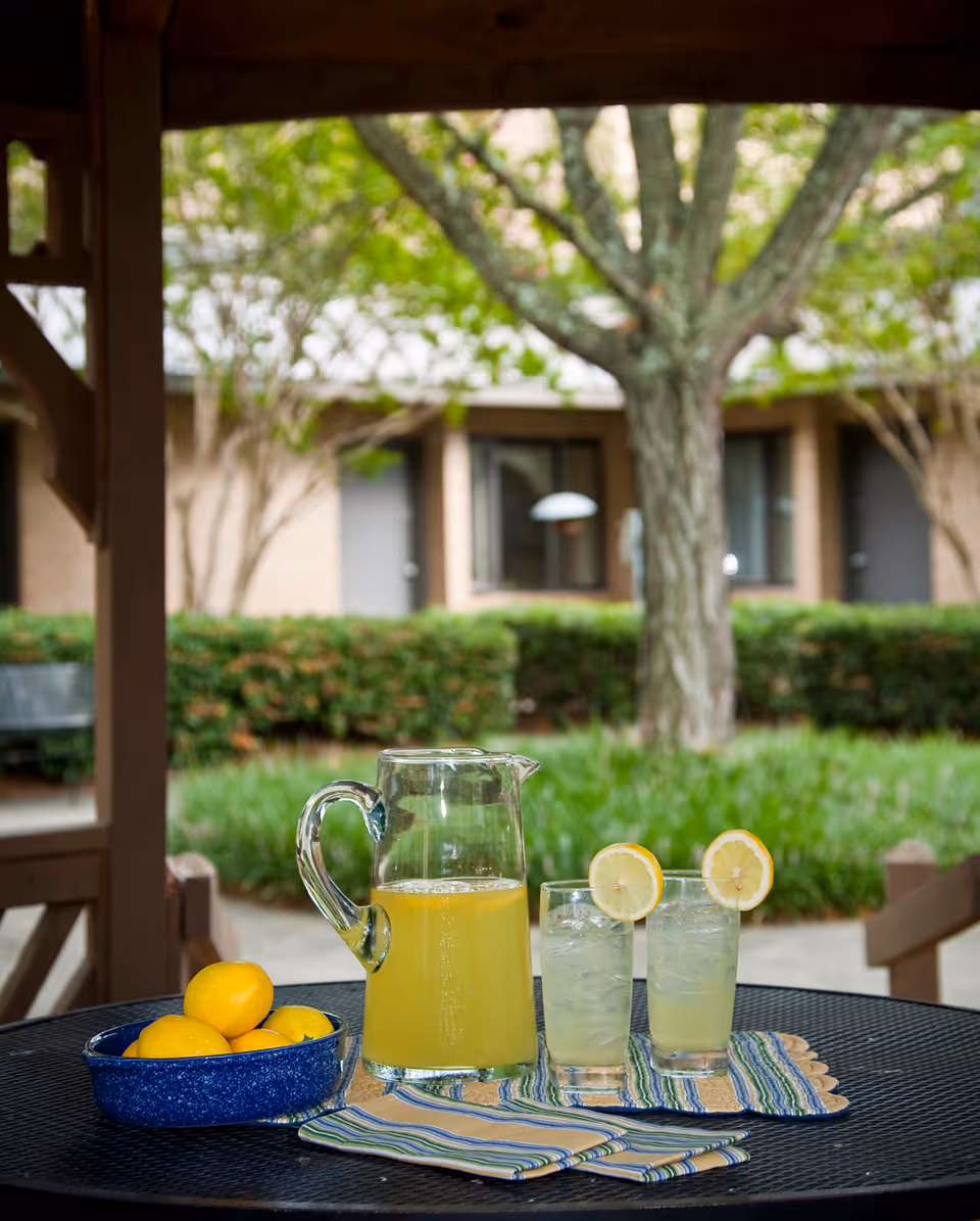 A black outdoor table with a blue bowl of lemons, a glass pitcher filled with lemonade, and two glasses of lemonade garnished with lemon slices. The table is set under a wooden gazebo with a green garden and building in the background.