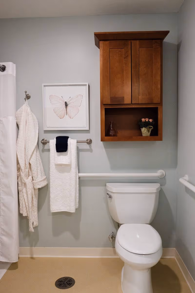 A clean and accessible bathroom with a white toilet, a wooden cabinet mounted on the wall above the toilet, a towel rack with white and dark blue towels, a white bathrobe hanging on a hook, a shower curtain on the left, and a framed butterfly artwork on the wall.