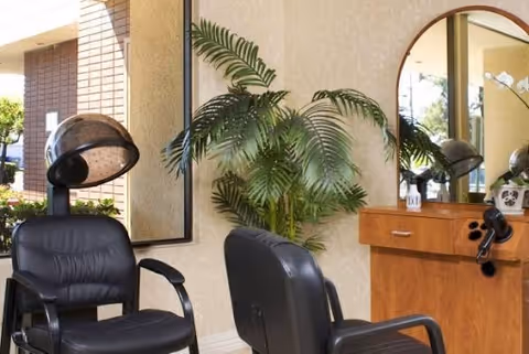 Salon-style interior with black hair-styling chairs, hooded dryers, a wooden vanity with mirror, and a large potted plant.