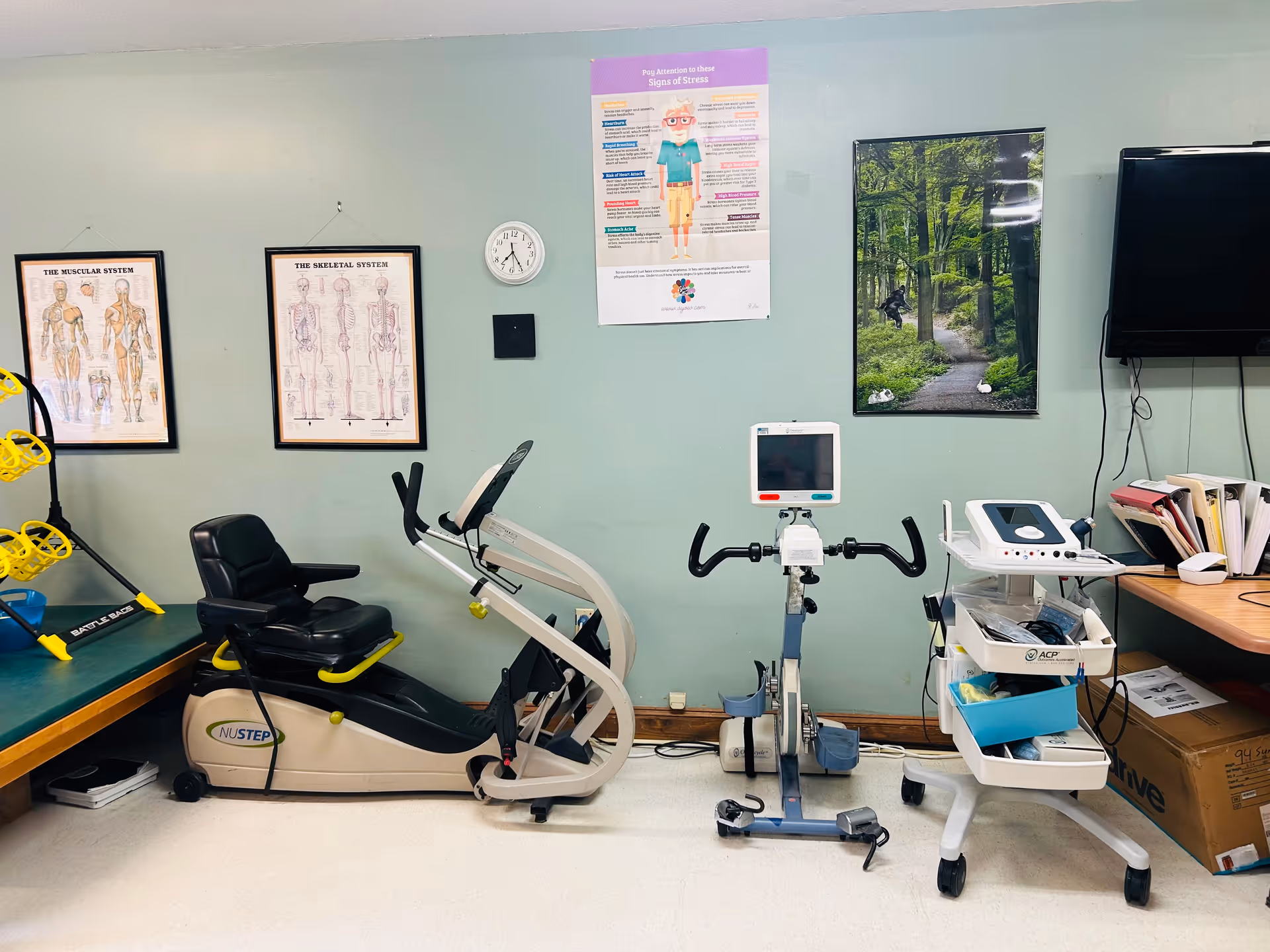 A rehabilitation room with exercise equipment including a recumbent bike and a stationary bike. The walls have anatomical posters of the muscular and skeletal systems, a clock, a stress awareness poster, and a nature-themed poster. There is also a TV mounted on the wall and a cart with medical supplies next to a desk with files and papers.
